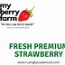 Perbedaan Strawberry Mencir Dan California